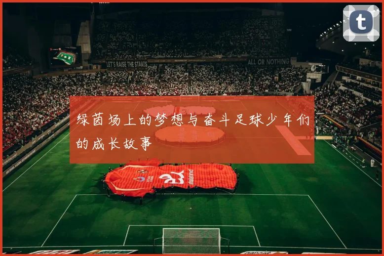 绿茵场上的梦想与奋斗足球少年们的成长故事