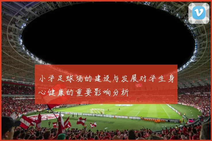 小学足球场的建设与发展对学生身心健康的重要影响分析