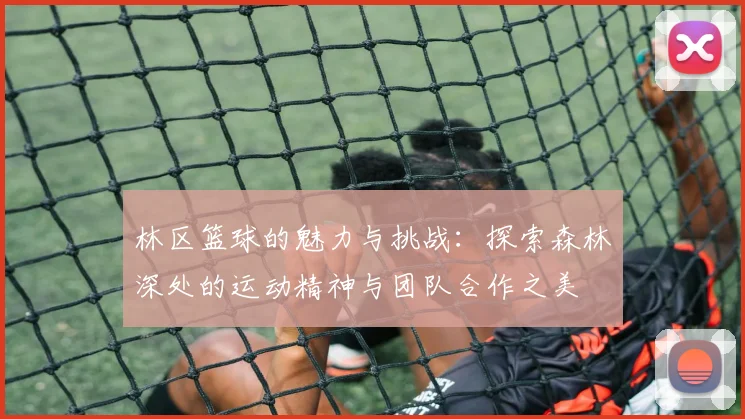 林区篮球的魅力与挑战：探索森林深处的运动精神与团队合作之美