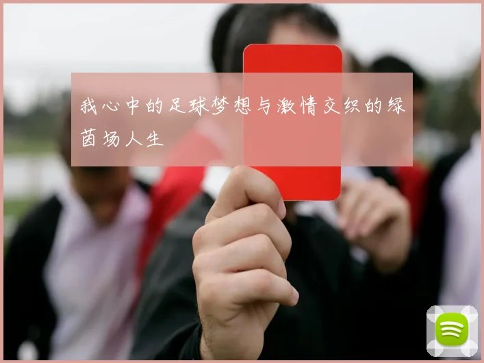 我心中的足球梦想与激情交织的绿茵场人生