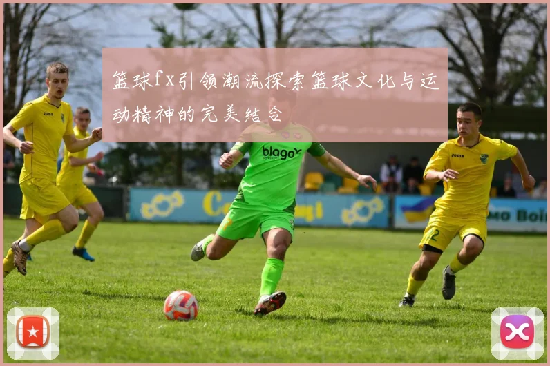 篮球fx引领潮流探索篮球文化与运动精神的完美结合