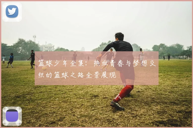 篮球少年全集：热血青春与梦想交织的篮球之路全景展现