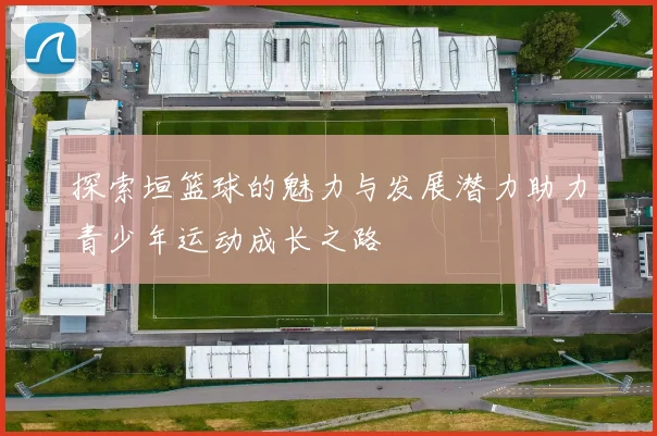 探索垣篮球的魅力与发展潜力助力青少年运动成长之路